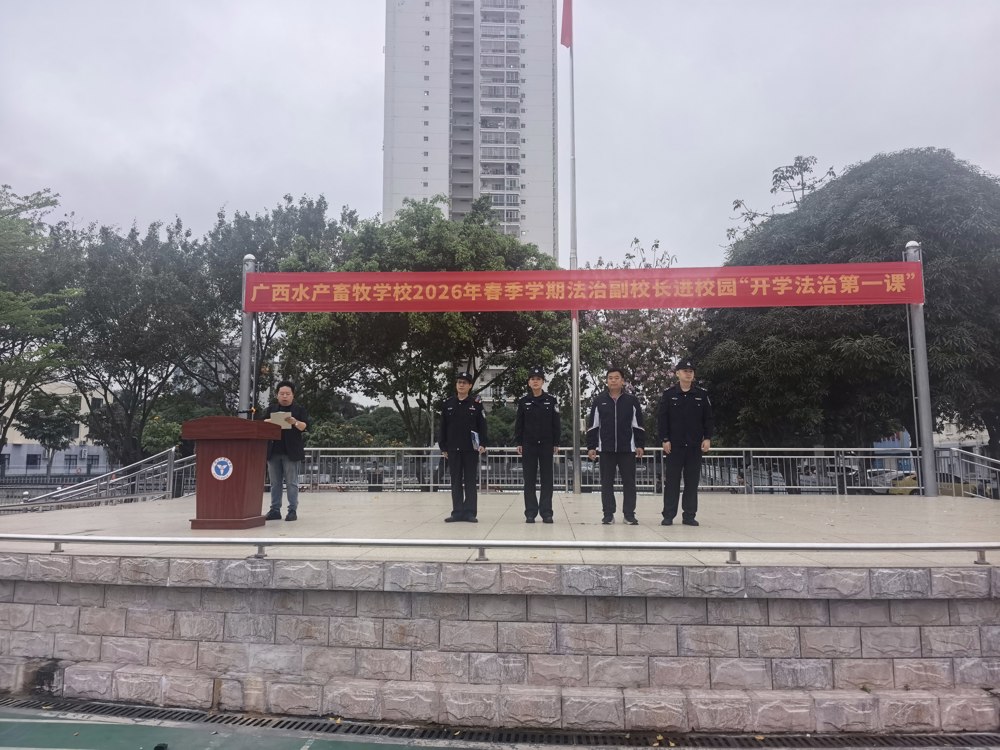 活动现场